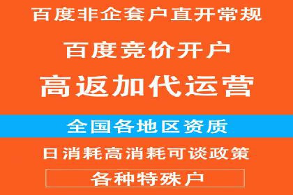 竞价推广代运营服务效果展示